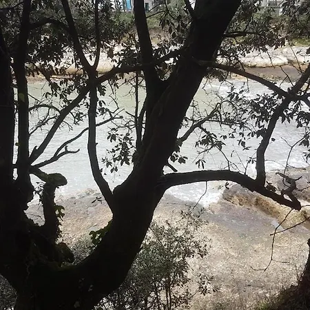 Pres De Royan 7 Minutes Confort Calme Rdc Espace Detente Jardin Lejlighed