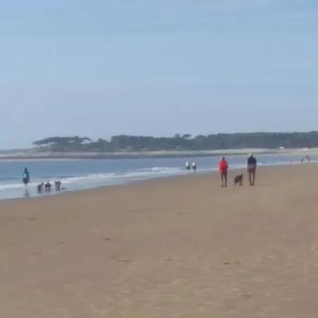 Lejlighed Pres De Royan 7 Minutes Confort Calme Rdc Espace Detente Jardin