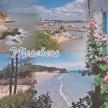 Pres De Royan 7 Minutes Confort Calme Rdc Espace Detente Jardin