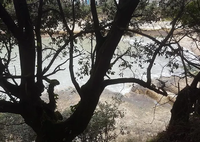 Pres De Royan 7 Minutes Confort Calme Rdc Espace Detente Jardin 公寓