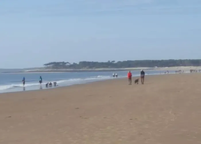 公寓 Pres De Royan 7 Minutes Confort Calme Rdc Espace Detente Jardin