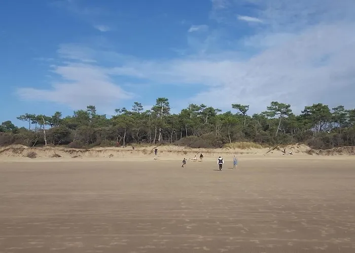 Pres De Royan 7 Minutes Confort Calme Rdc Espace Detente Jardin